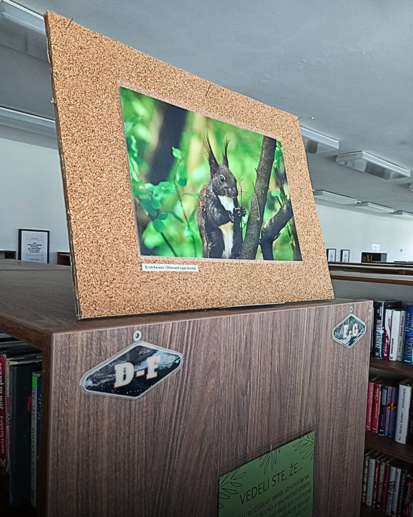 "2025-12_vystava_Lesopark"